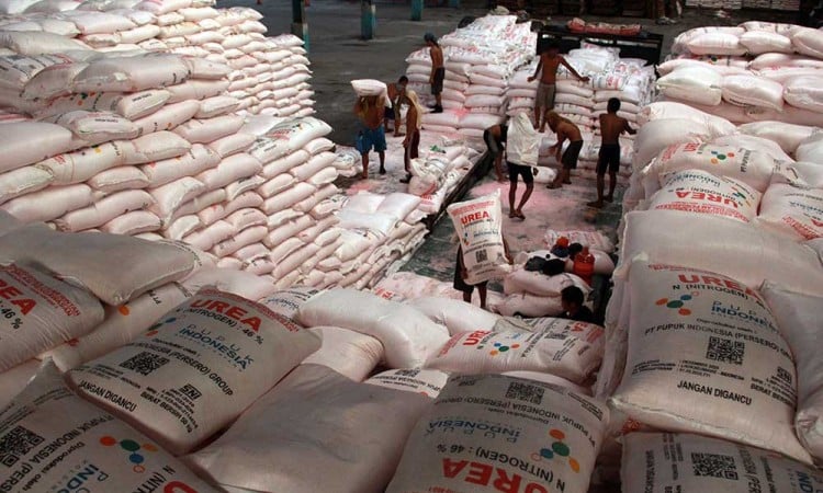 Pemerintah Alokasikan 500 Ribu Ton Pupuk Organik Kepada Petani