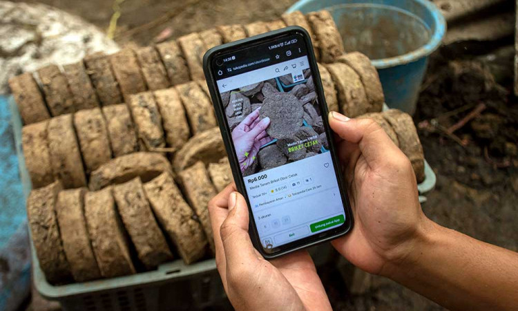 Kelompok Obor Desa Organik Sukajaya Manfaatkan Kotoran Sapi Untuk Dijadikan Briket Media Tanam