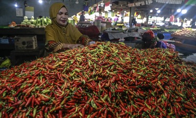 Harga Cabai Rawit Di Ternate Tembus Rp100 Ribu per Kilogram