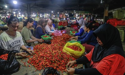 Harga Cabai Rawit Di Ternate Tembus Rp100 Ribu per Kilogram