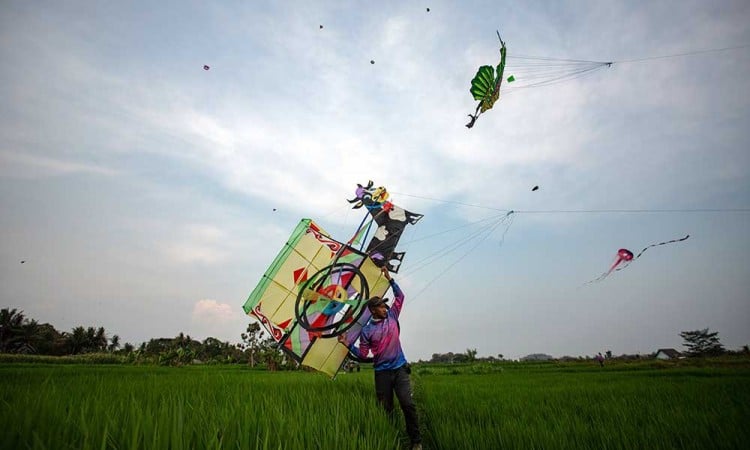 Bermain Layang-Layang Pada Ngaran Kite Festival 2024 di Yogyakarta