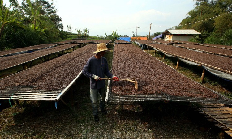 Kopi Wanoja Dari Kabupaten Bandung Kembali Menembus Pasar Internasional