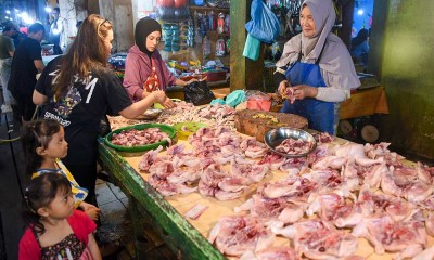 Harga Daging Ayam Ras di Kalimantan Timur Alami Penurunan