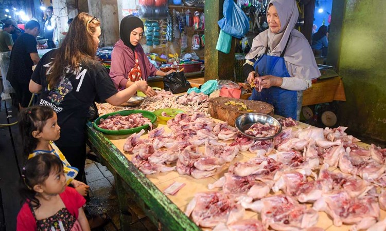 Harga Daging Ayam Ras di Kalimantan Timur Alami Penurunan