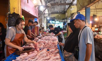 Harga Daging Ayam Ras di Kalimantan Timur Alami Penurunan