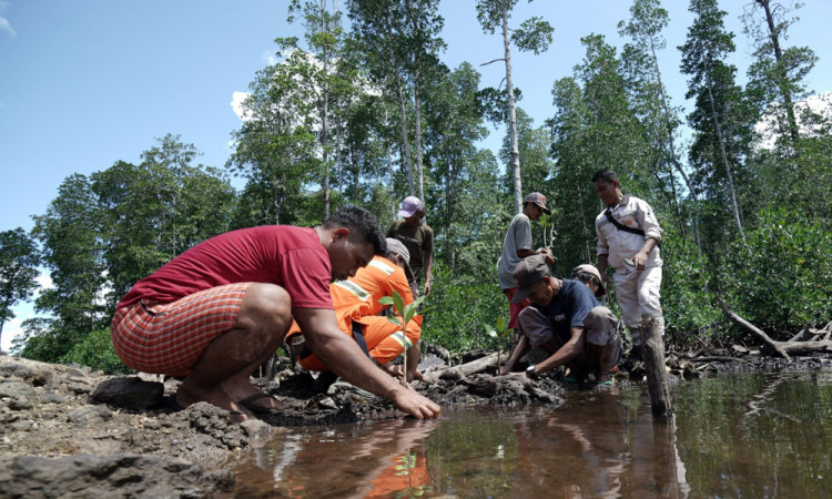 IWIP Tanam Satu Juta Mangrove