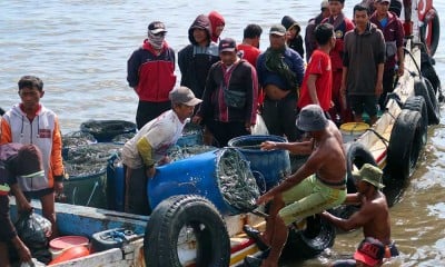 Hasil Tangkapan Ikan Nelayan di Jawa Timur Melimpah Akibatkan Harga Ikan Menjadi Turun