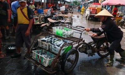 Hasil Tangkapan Ikan Nelayan di Jawa Timur Melimpah Akibatkan Harga Ikan Menjadi Turun