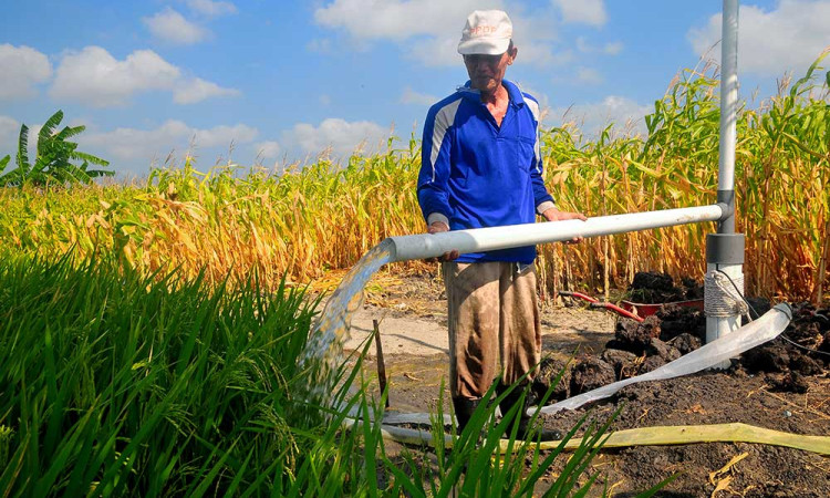 Petani di Jawa Tengah Gunakan Pompa Sumur Submersibel Untuk Megairi Sawah