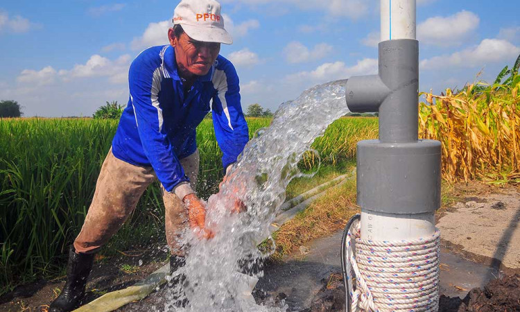 Petani di Jawa Tengah Gunakan Pompa Sumur Submersibel Untuk Megairi Sawah