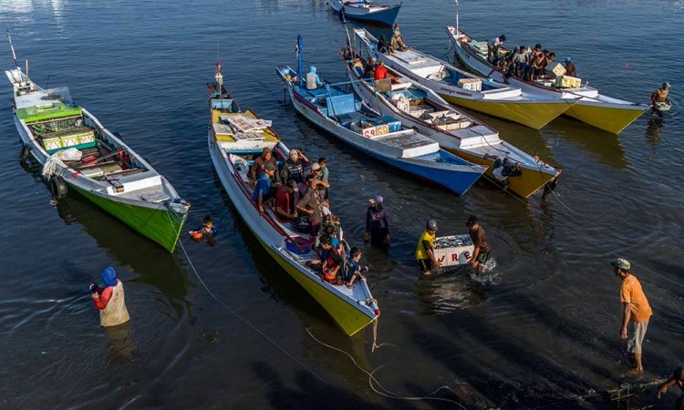 KKP Perluas Jaringan Pasar Produk Perikanan Indonesia ke Negara Eropa