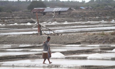 Produksi Garam Dalam Negeri Saat Ini Mencapai 1,9 Juta Ton