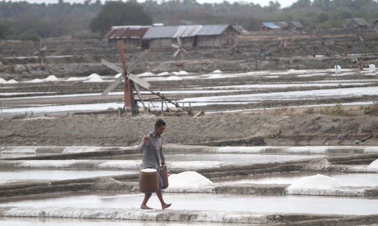 Produksi Garam Dalam Negeri Saat Ini Mencapai 1,9 Juta Ton