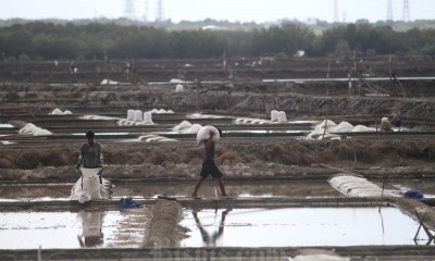 Produksi Garam Dalam Negeri Saat Ini Mencapai 1,9 Juta Ton