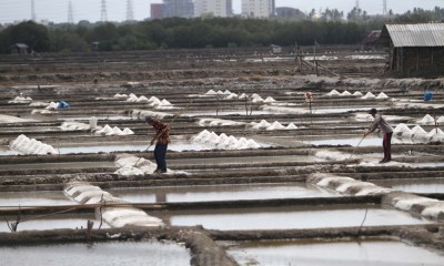 Produksi Garam Dalam Negeri Saat Ini Mencapai 1,9 Juta Ton