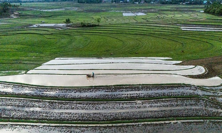 BPS Mencatat Nilai Tukar Petani Provinsi Sulawesi Selatan Pada Oktober Meningkat 0,27%