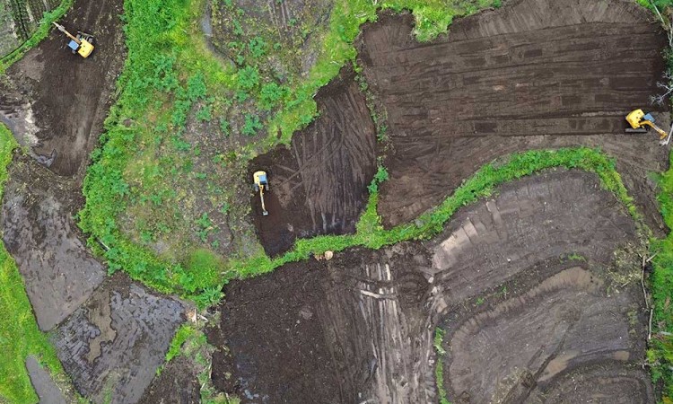 Kementan Siapkan Anggaran Sebesar Rp10 miliar Untuk Pemulihan Lahan Pertanian di Sumatra Barat