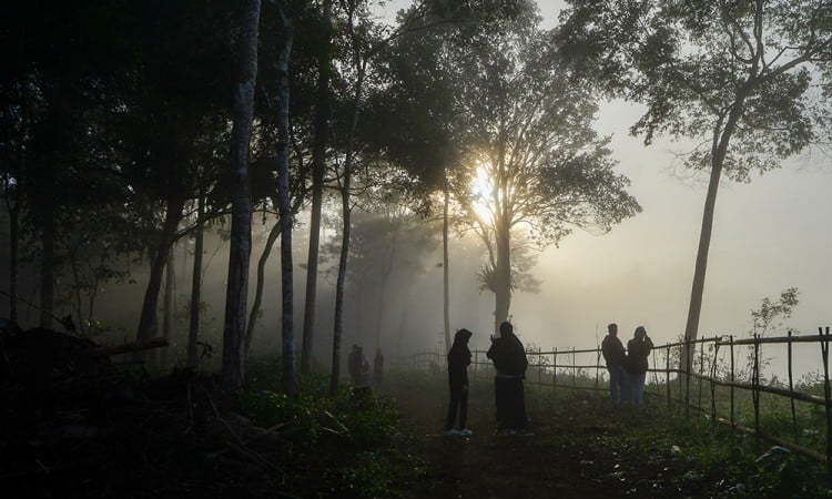 Pengembangan Objek wisata Tabiang Barasok Bukittinggi