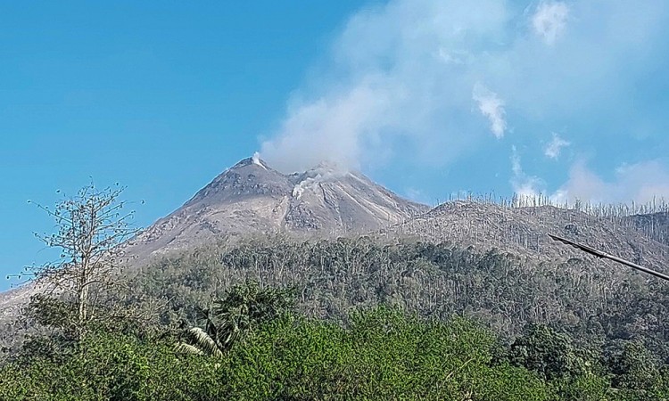 Dampak Erupsi Gunung Lewotobi Laki-Laki