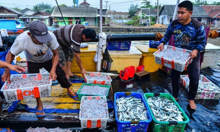 KKP Kembangkan Lima Kebijakan Ekonomi Biru