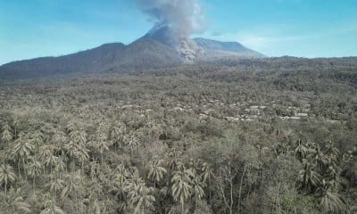 Debu Vulkanik Erupsi Gunung Lewotobi Laki-Laki Permukiman dan Perkebunan