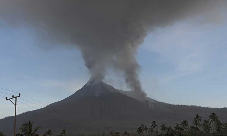 Debu Vulkanik Erupsi Gunung Lewotobi Laki-Laki Permukiman dan Perkebunan