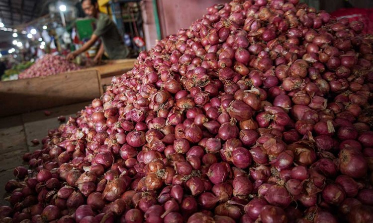 Harga Komoditas Pangan Nasional Mulai Naik