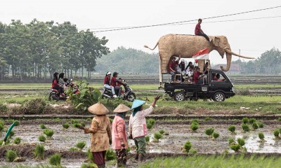 Kirab Festival Jerami Purba di Sangiran Jawa Tengah