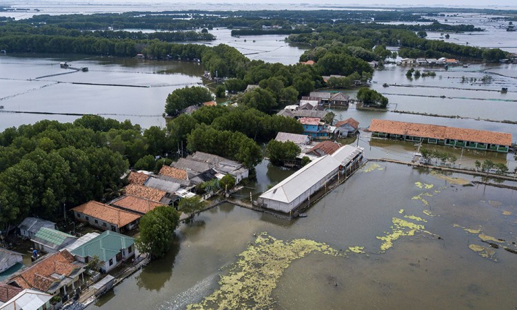 Banjir Rob Di Kampung Sembilangan Bekasi