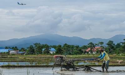 Realisasi Perluasan Areal Tanam Di Sulawesi Tenggara