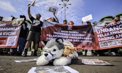 Aksi Pelarangan Perdagangan Daging Anjing Dan Kucing