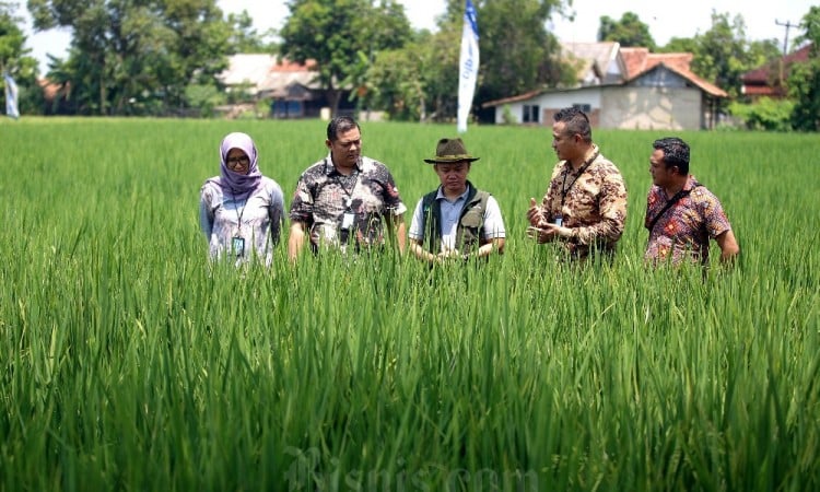 Bank BJB Salurkan Pinjaman Untuk Perkembangan UMKM