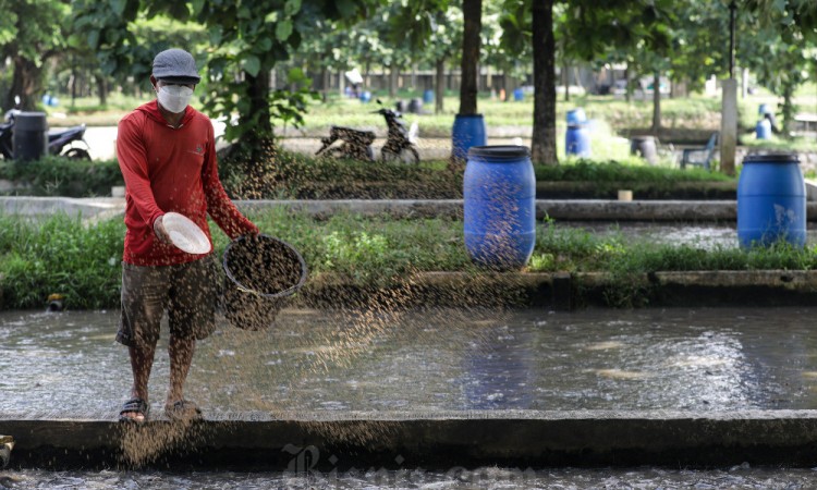 KKP Usulkan Tambahan Anggaran Pada 2025 Menjadi Rp7,64 Triliun atau Naik 22,9%