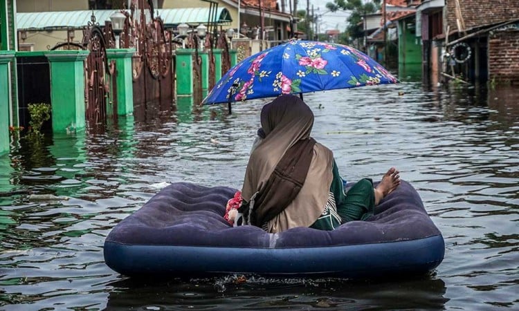 Banjir Rendam Sejumlah Daerah di Pekalongan Jawa Tengah