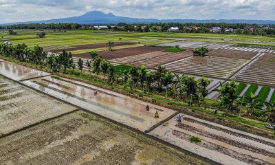 Nilai Tukar Petani Jawa Timur Turun