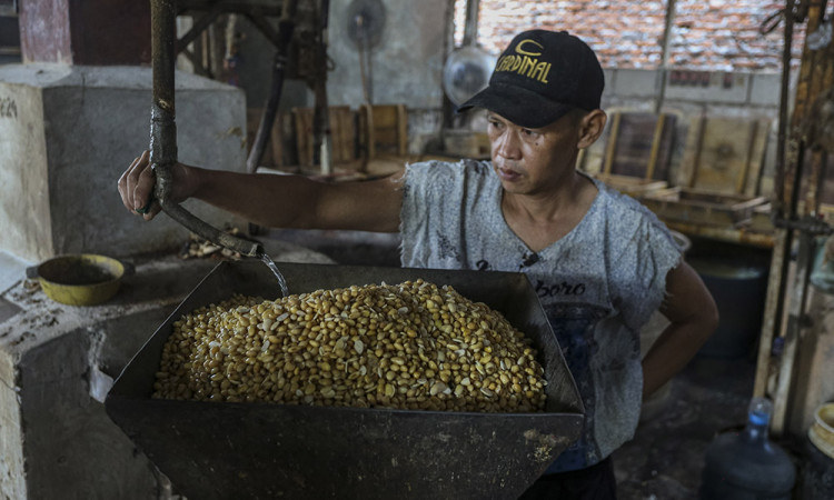 Impor Kedelai Berpotensi Meningkat Pada 2025