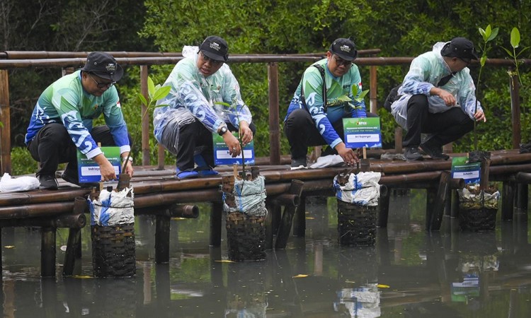 BPKH Tanam Mangrove Di Pesisir Jakarta