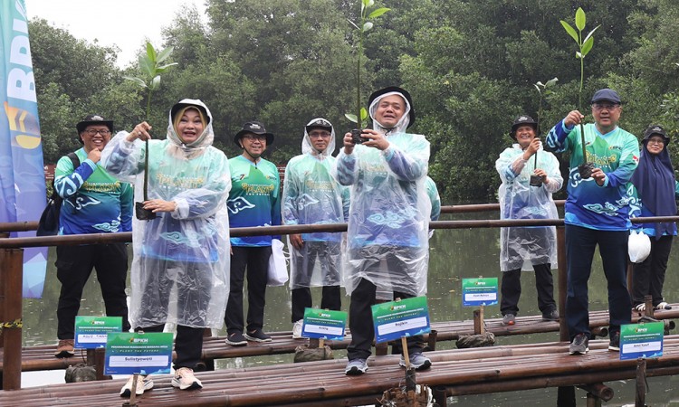 BPKH Tanam Mangrove Di Pesisir Jakarta