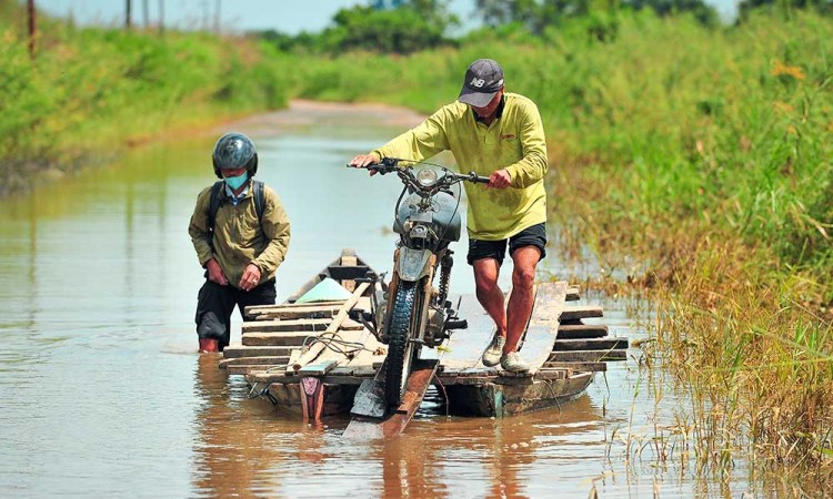 Banjir Luapan Sungai Batanghari Kabupaten Muaro Jambi