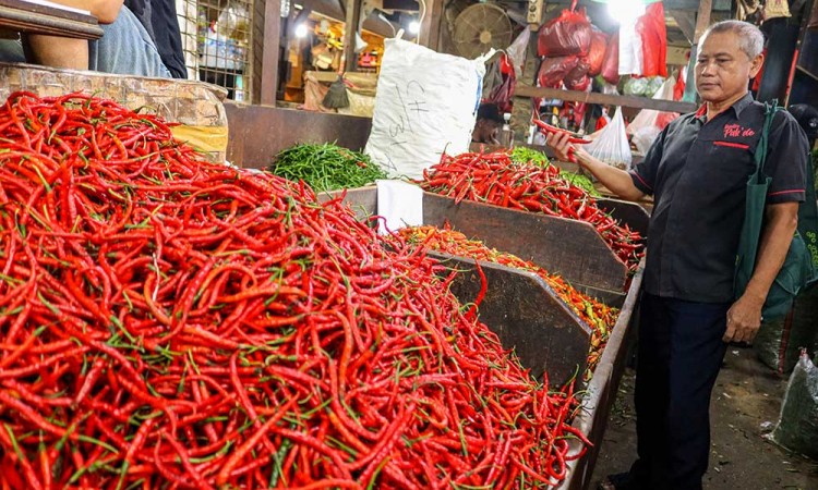 Bapanas Mencatat Harga Sejumlah Komoditas Pangan Secara Umum Naik