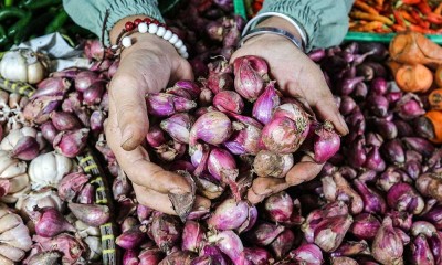 Bapanas Pastikan Stok dan Harga Pangan Aman Jelang Natal dan Tahun Baru