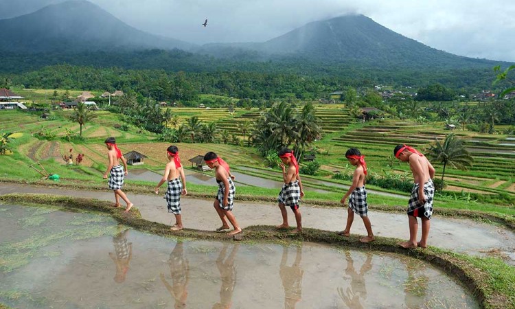 Desa Jatiluwih di Bali Menjadi Percontohan Untuk Mengembangkan Desa Wisata di Indonesia