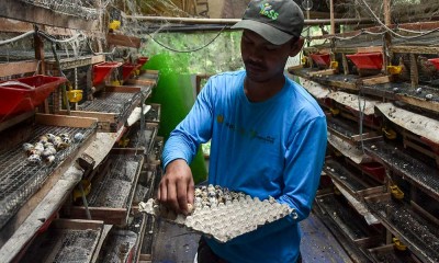 Petani Melenial Akan Berkolaborasi Dengan BUMDes Untuk Memasok Program Makan Bergizi Gratis