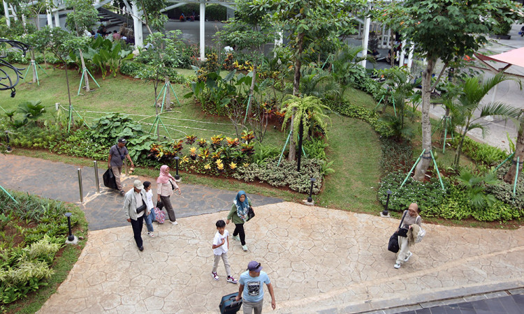 Rimbunnya Hutan Tropis di Bandara Soekarno-Hatta