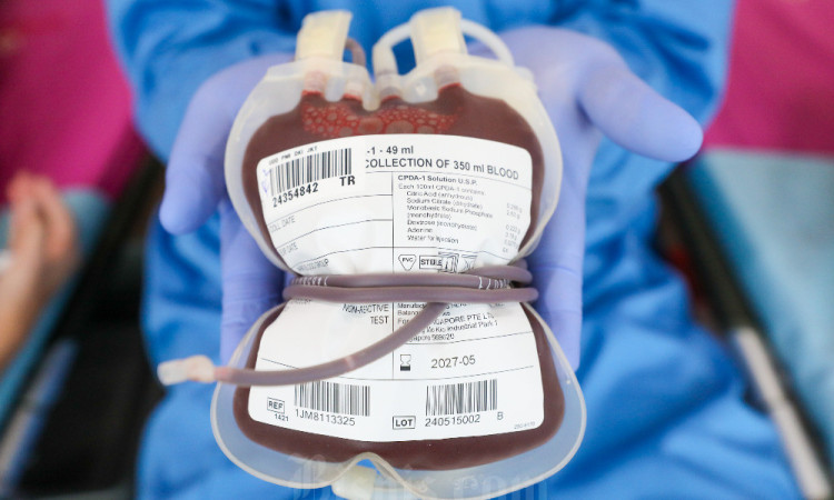 Bisnis Indonesia Bersama PMI Gelar Donor Darah Untuk Karyawan