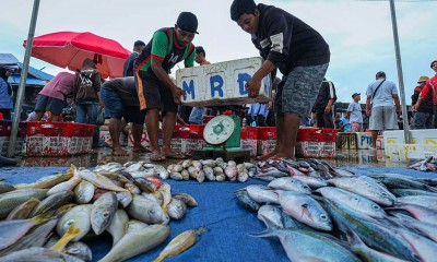 KKP Mencatat PNBP Dari Sektor Perikanan Tangkap Mencapai Rp966 Miliar