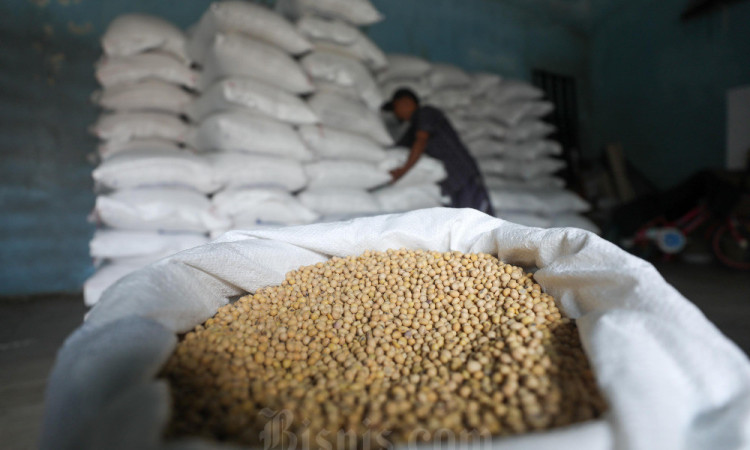 Harga Kedelai Biji Kering Impor di Tingkat Pedagang Grosir Naik