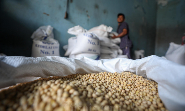Harga Kedelai Biji Kering Impor di Tingkat Pedagang Grosir Naik