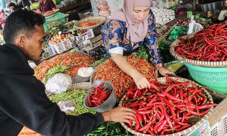 Harga Cabai di Palangka Raya Meroket