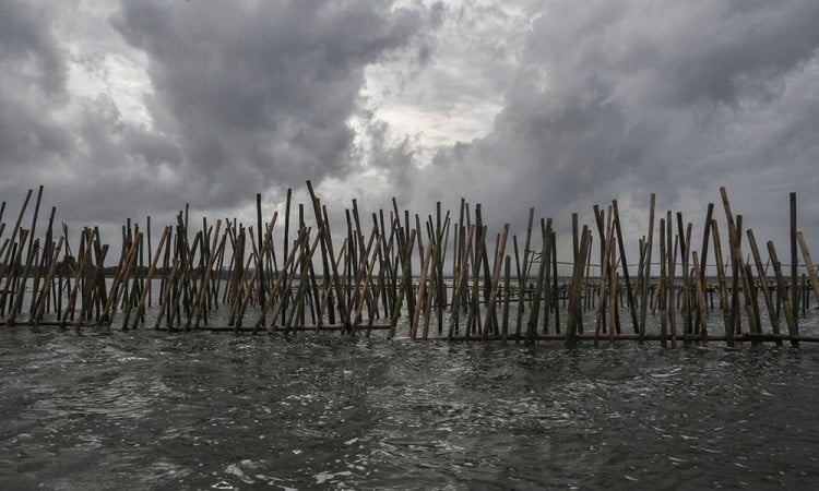 Pemagaran Laut Di Pesisir Kabupaten Bekasi